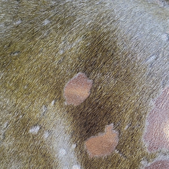 MAURIZIO TAIUTI Made Italy Calf Hair Leather Shoulder Bag Green and Brown - Picture 12 of 13